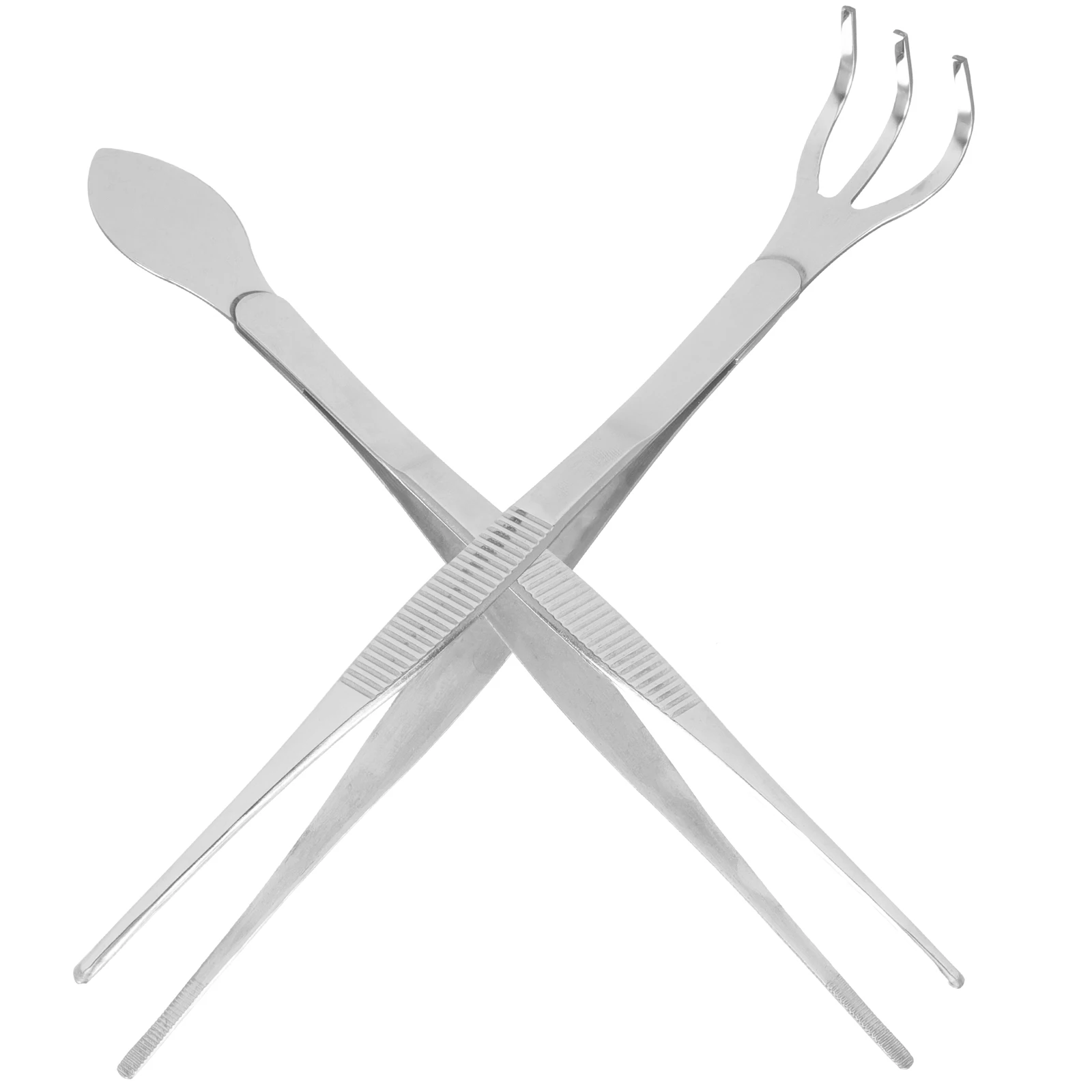 

1 set Bonsai Tool Set Stainless Steel Tweezers Small Rake for Plants Moss Spatula Gardening Tools Shovel Accessories