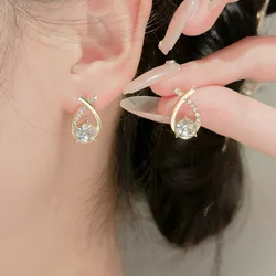 S925 Silver Needle 2024 Korean Edition Earrings Exquisite Crystal Cross Light Luxury Versatile High End Design Earrings Fashion