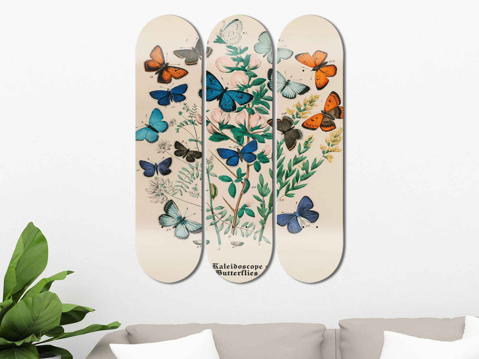 Set of 3pcs Vintage Butterfly Art Skateboard Wall Art 7-layer Maple Decoration Skateboard Furnish and Decorate for Home Decor