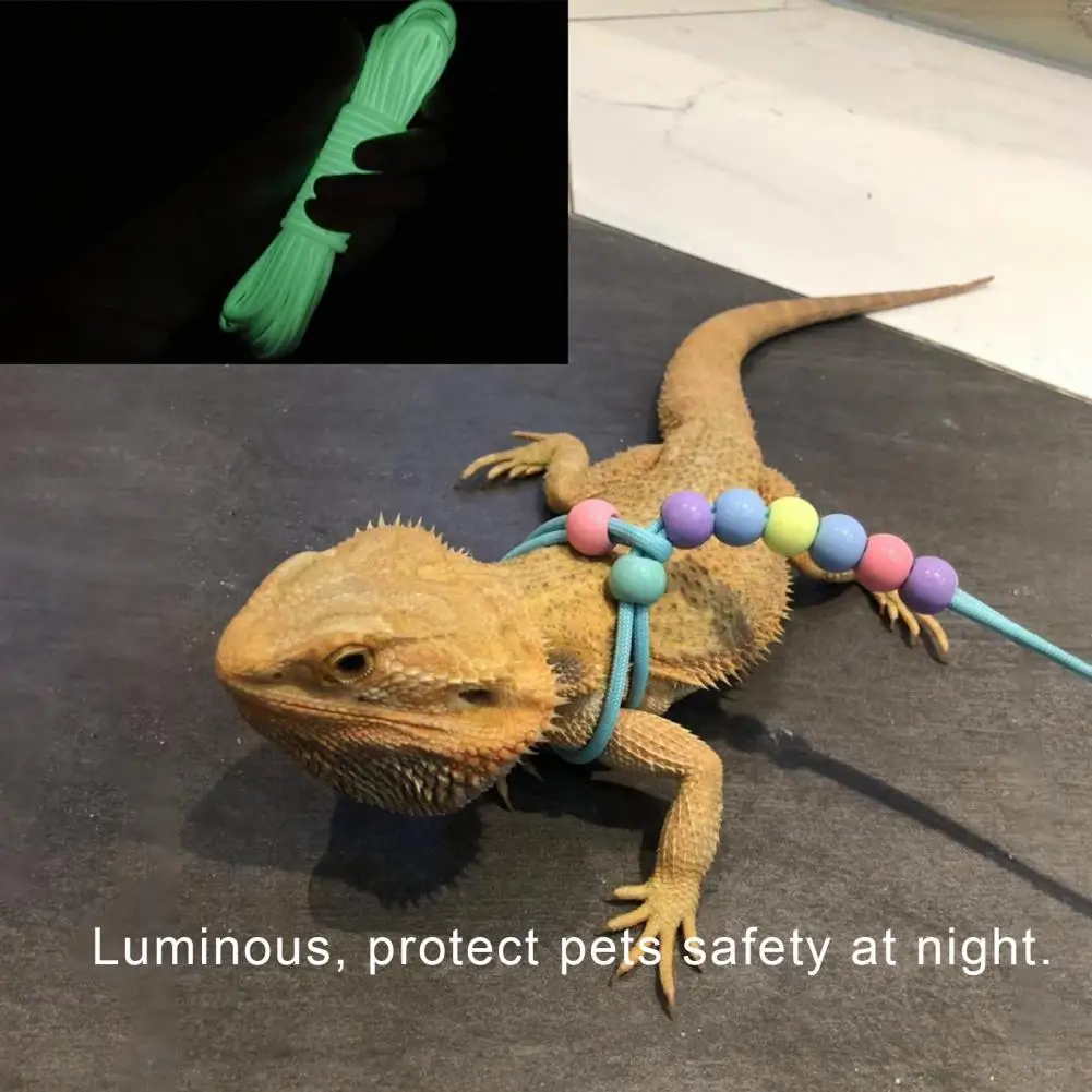 

Lizard Leash Adjustable Night Luminous Portable Lizard Hamster Rabbit Nylon Traction Rope Pet Leash Adjustable Harness