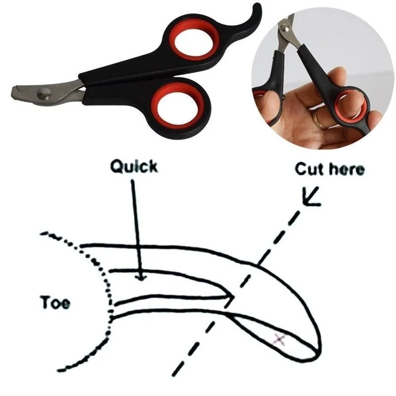 Professional Pet Dog Nail Clipper Cutter Stainless Steel Grooming Scissors Clippers for Animals Cats