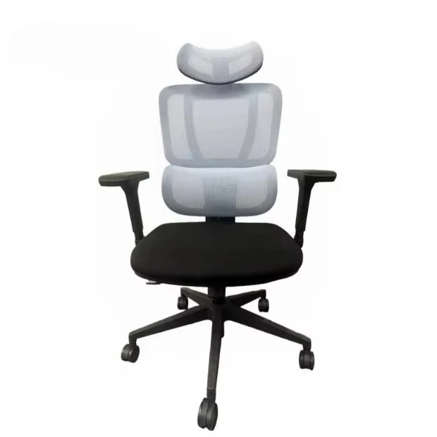 Ergonomic Office Chair Lumbar Support Orthopedics Medical Administration Computer Chair Office Manager Studio