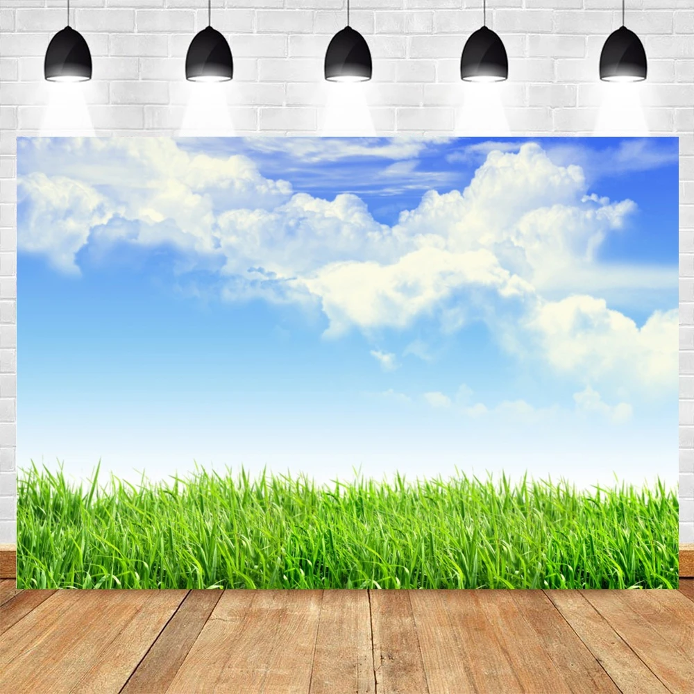 Green Grass Blue Sky Cloudy Photography Backdrop Spring Natural Landscape Baby Portrait Photographic Background Photo Studio