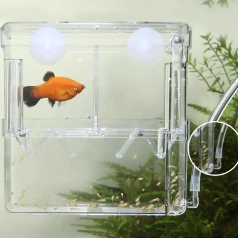 Fish Breeding Box F…