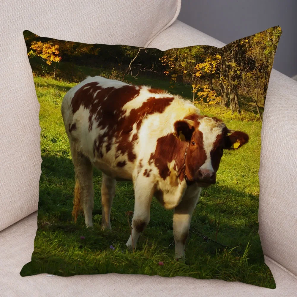 Scotland Kyloe throw pillow cover with short plush print for living room sofa decoration cushion cover pillow covers decorative