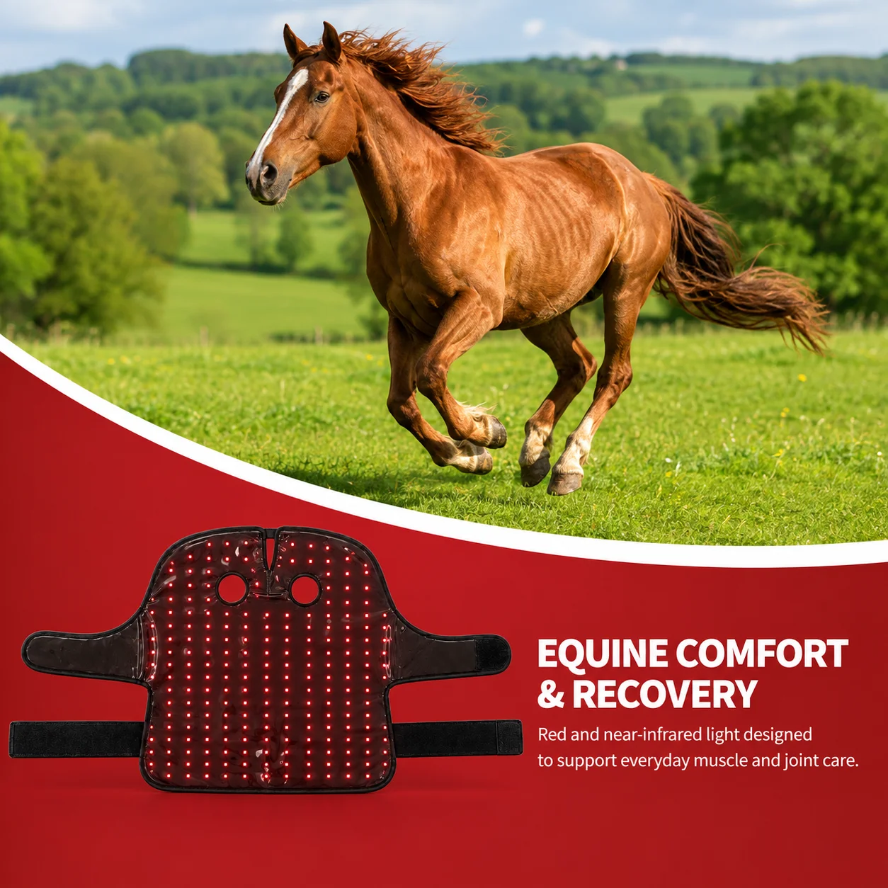 Rechargeable Equine Red Infrared Light Therapy for Horse Poll Cap 660nm 850nm Horse Red Light Therapy Equipment