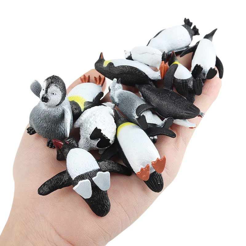 Oenux-Simulação animal do pólo sul para crianças, pinguim do bebê, ciclo de crescimento, figuras de ação, estatueta modelo, animais fofos, brinquedo educativo, oceano