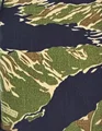 Green Tiger Spot