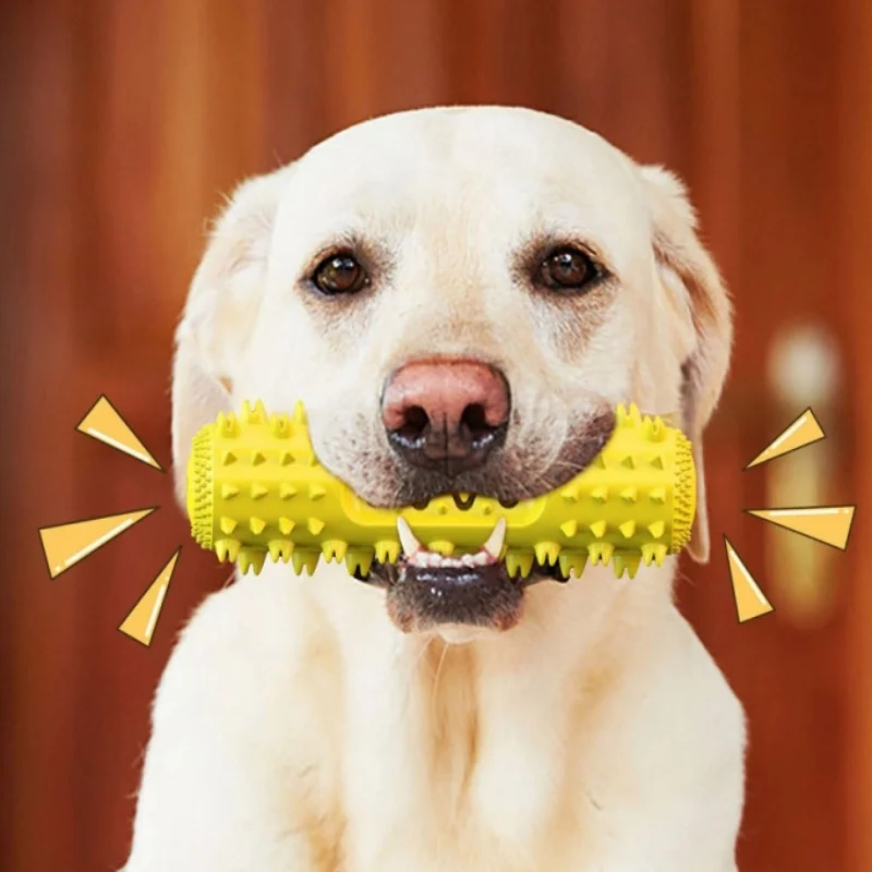 Fun Leak‑Proof Dog Teething Toy Chew Stick Bite‑Resistant Pet Teething Stick for Dog Oral Health Interactive Indoor Outdoor Play