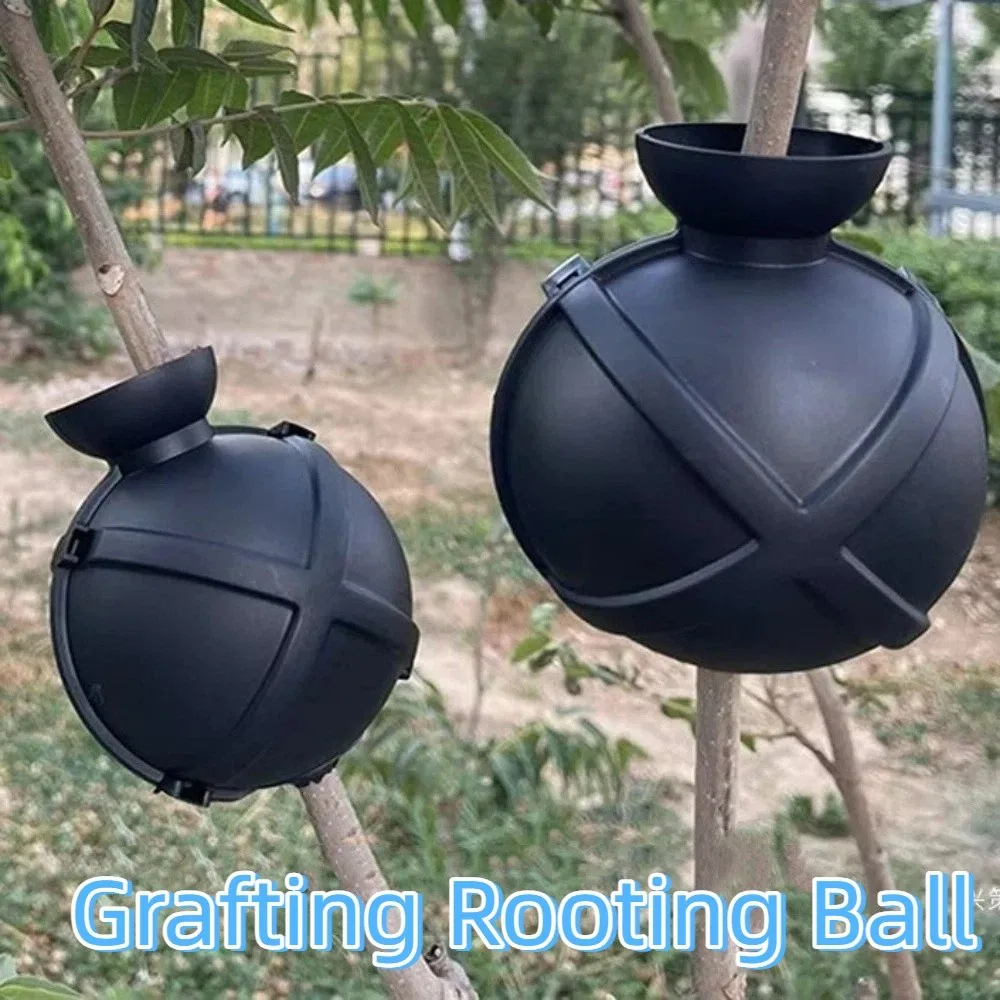 

5 шт. пластиковых шаров для прививки и укоренения, быстрое размножение, контейнеры для выращивания, гидропоника, с защитными замками