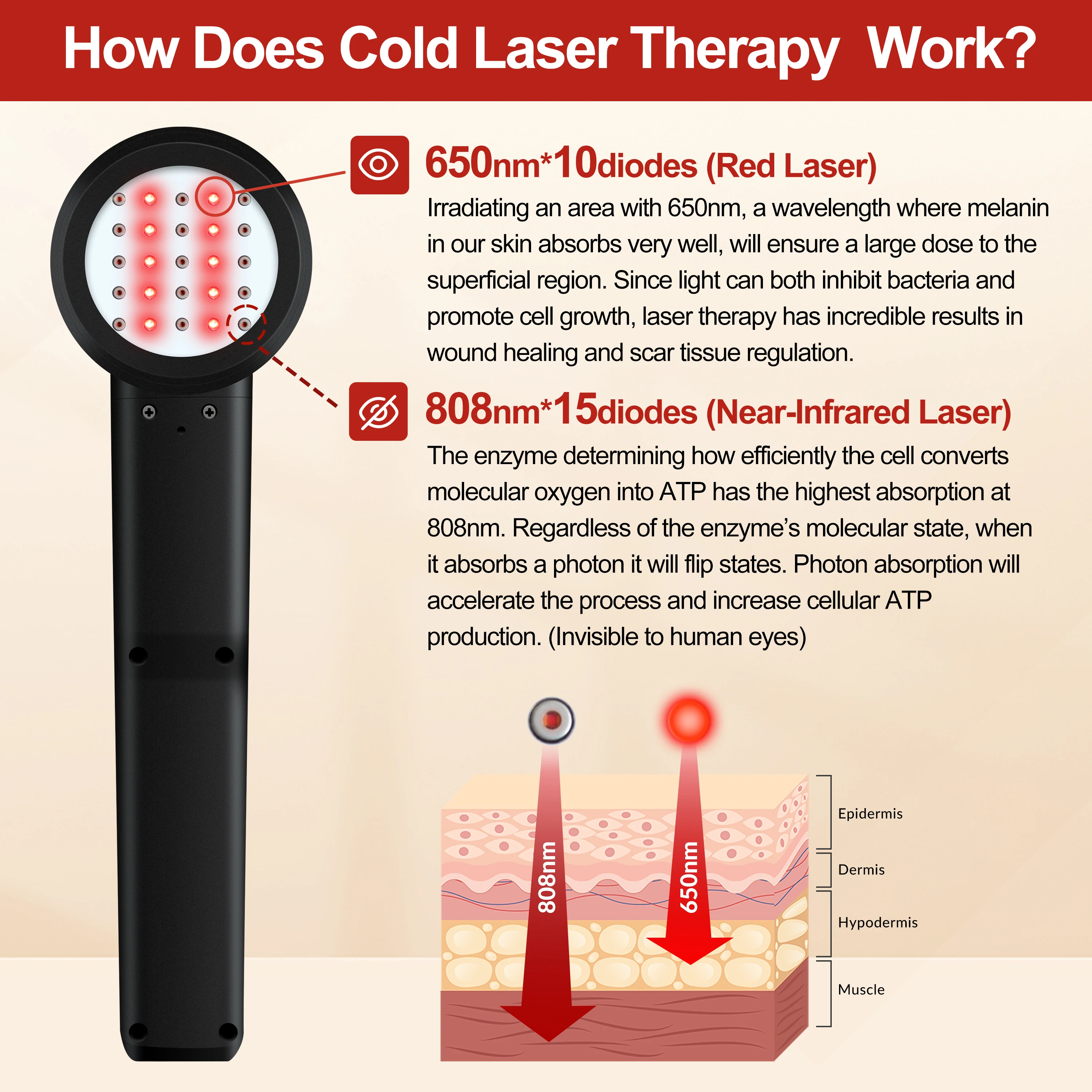 Dawfek Powerful Hand Held Cold Laser Low 650nmX15Diodes+808nmX10Diodes Cold Laser Therapy for Healing Acute and Chronic Pain