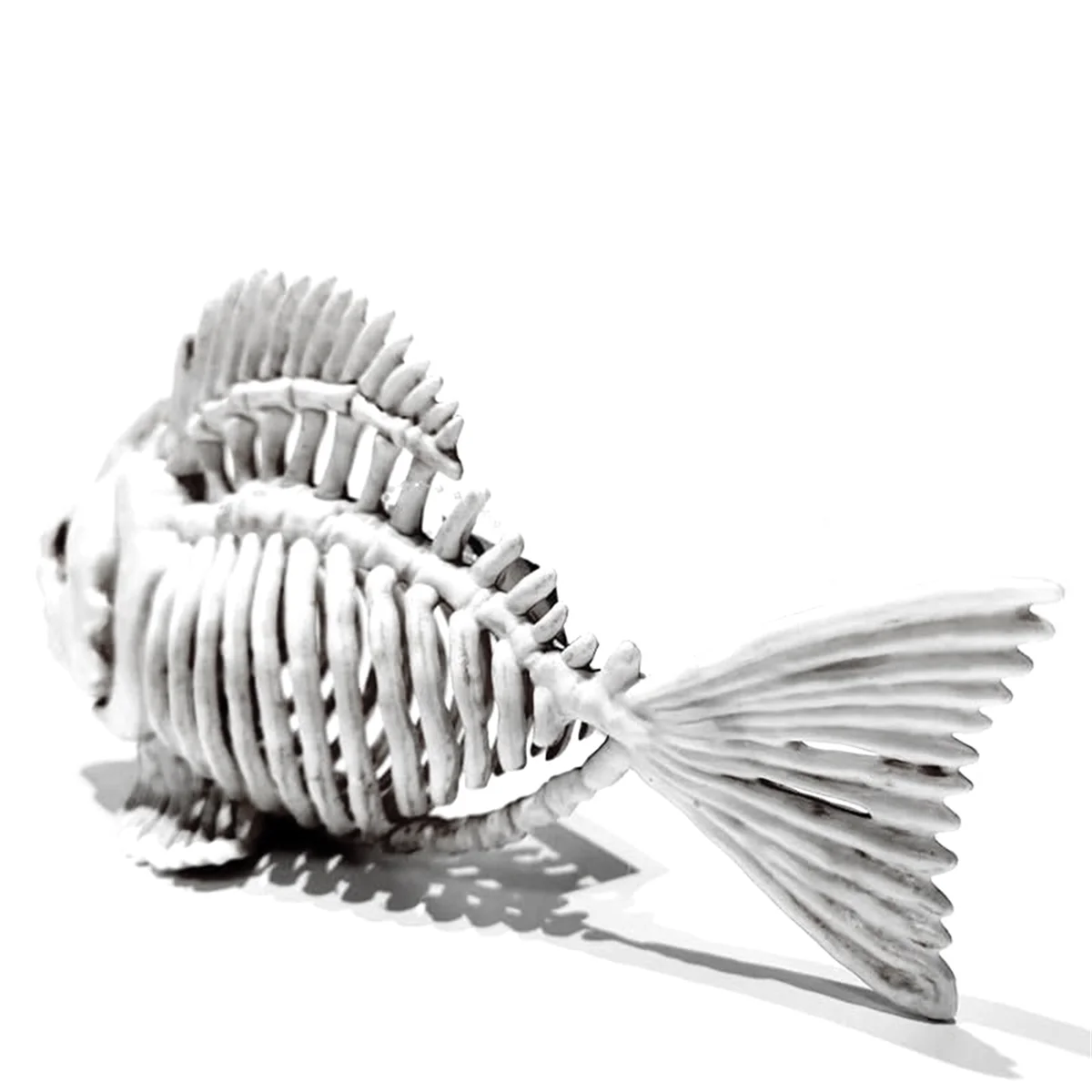 Skeleton Fish Halloween Decor Model, Plastic Animal Carp Skull Fishes Bone Art Ornaments, for Home Room Bedroom Decor