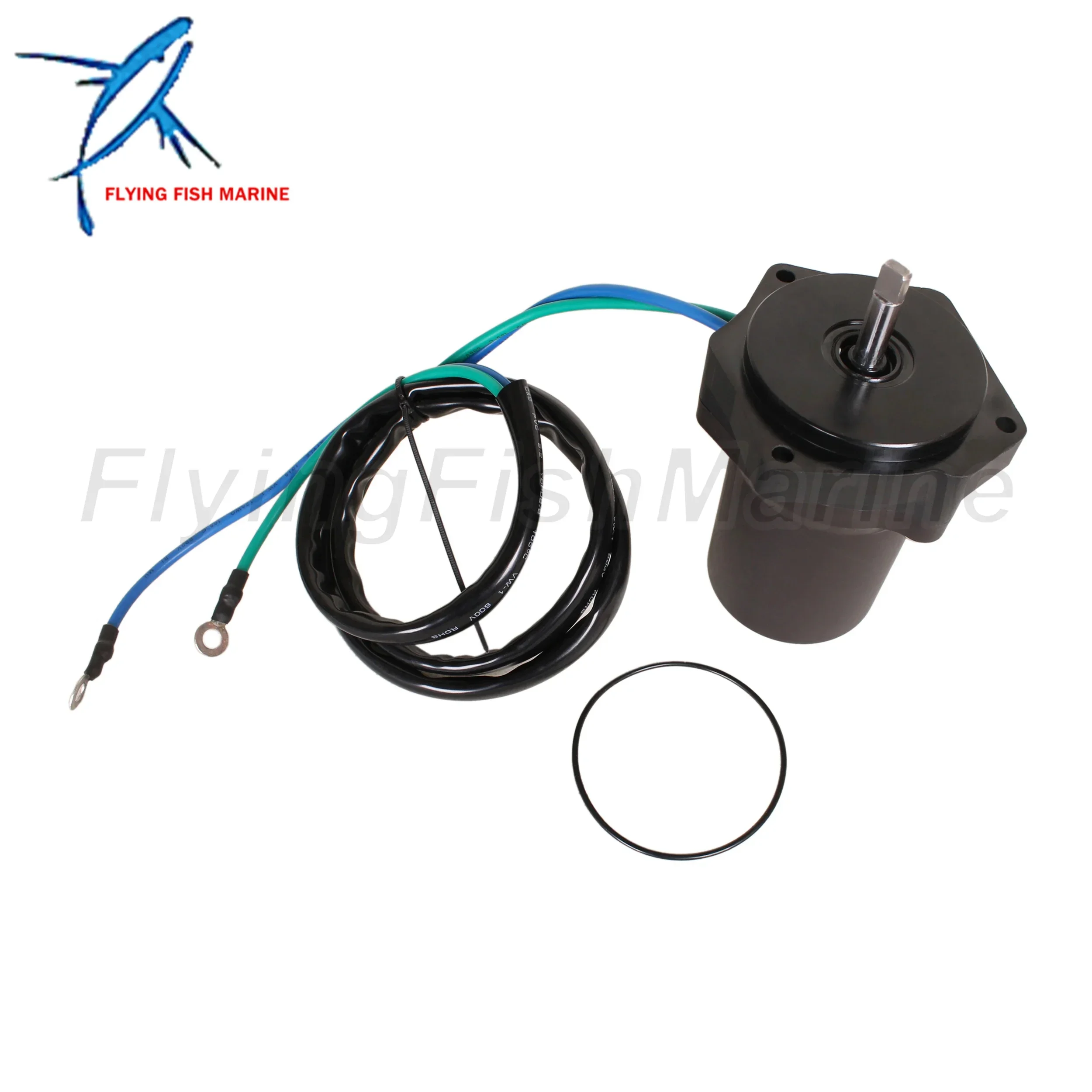 Outboard Motor 6CJ-…