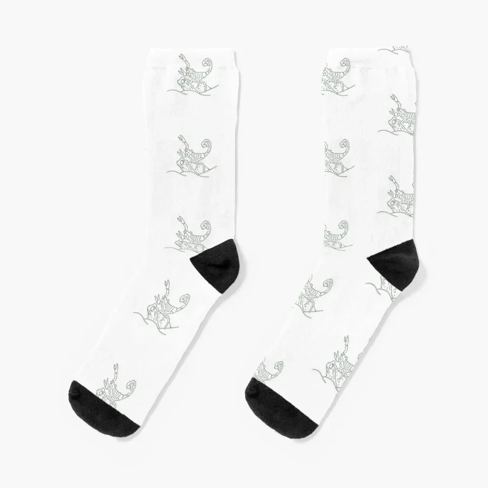 Scorpion and the Frog Socks Stockings Non-slip christmas gift Ladies Socks Men's