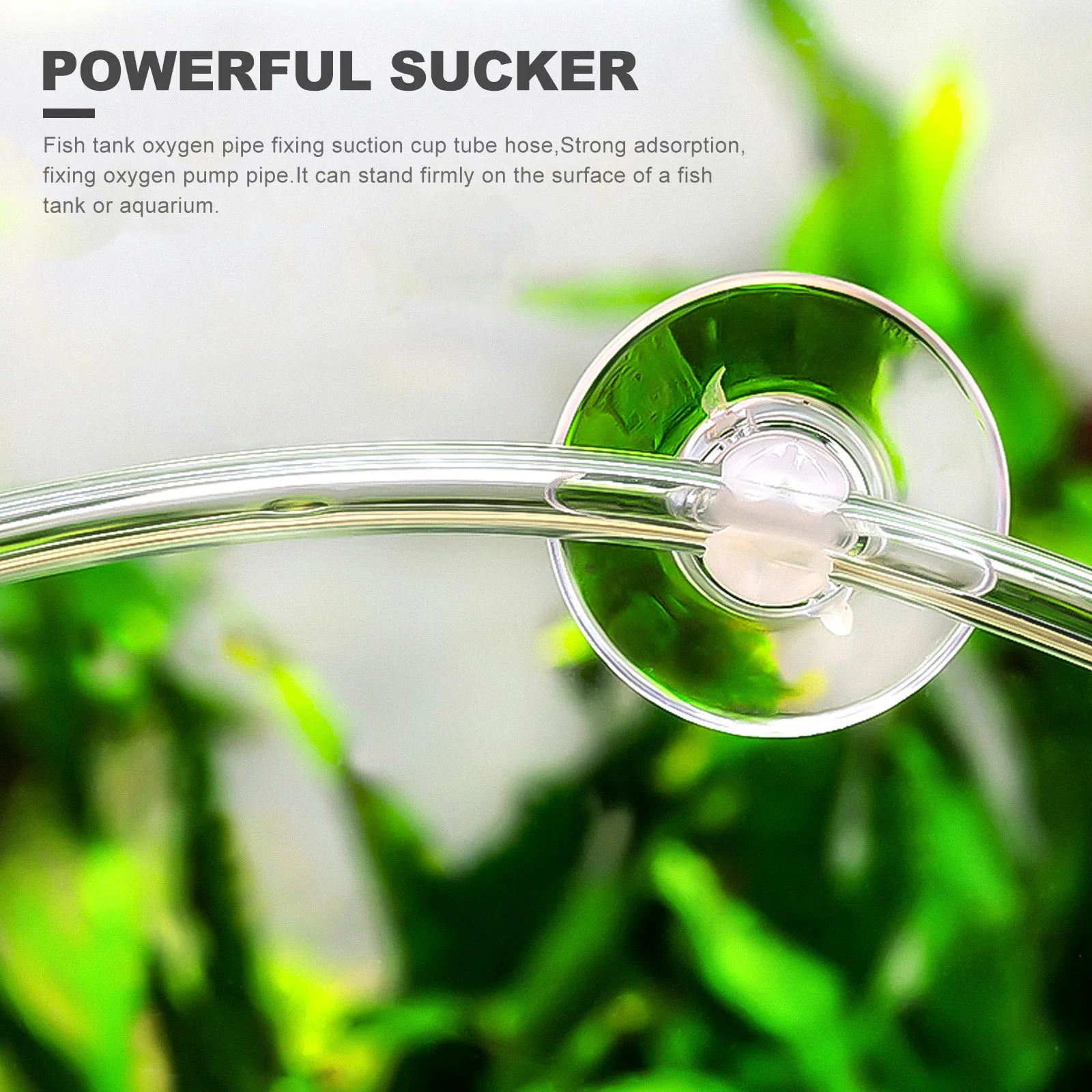 

20Pcs Fish Tank Oxygen Hose Fixators Suction Cups Compact Aquarium Oxygen Pump Hose Holders Fixing Suction Cup