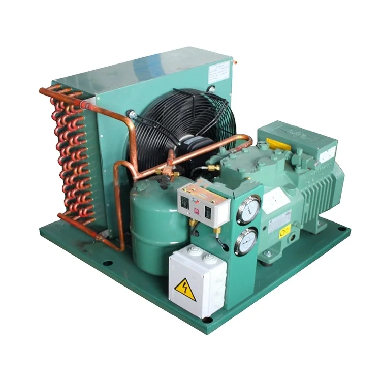 Factory 3hp 5hp 6hp 10hp Germany Air Cooled Compressor Condensing Unit for Cooling refrigeration