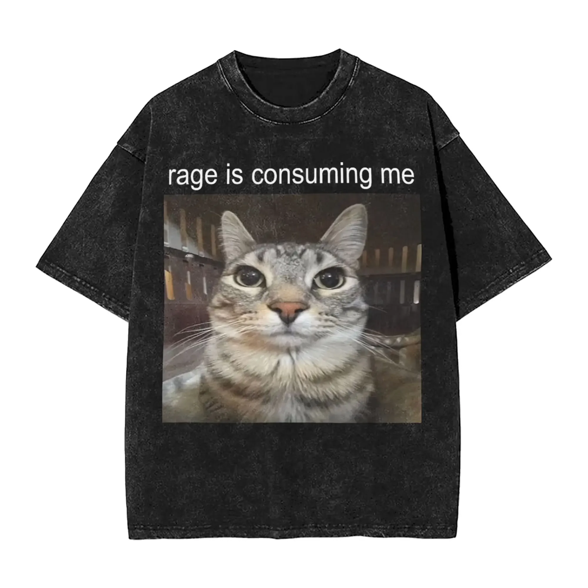 Rage is Consuming Me Silly Staring Cat Meme Washed T Shirt Streetwear  T-Shirt Tees Men Women Short Sleeve Oversize