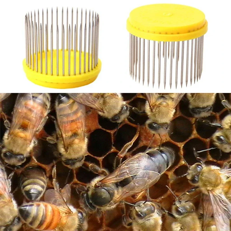 

2PCS Stainless Steel Bee Queen Cap For Queen Cage High Quality Beekeeping Equipment Beekeeper Supplies Beekeeping Tools