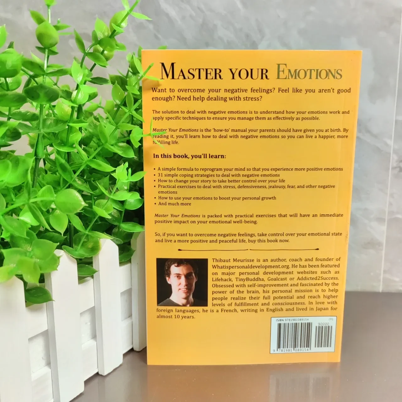 Master Your Emotions English Original Novel By Thibaut Meurisse Overcome Negativity And Better Manage Your Feelings Book