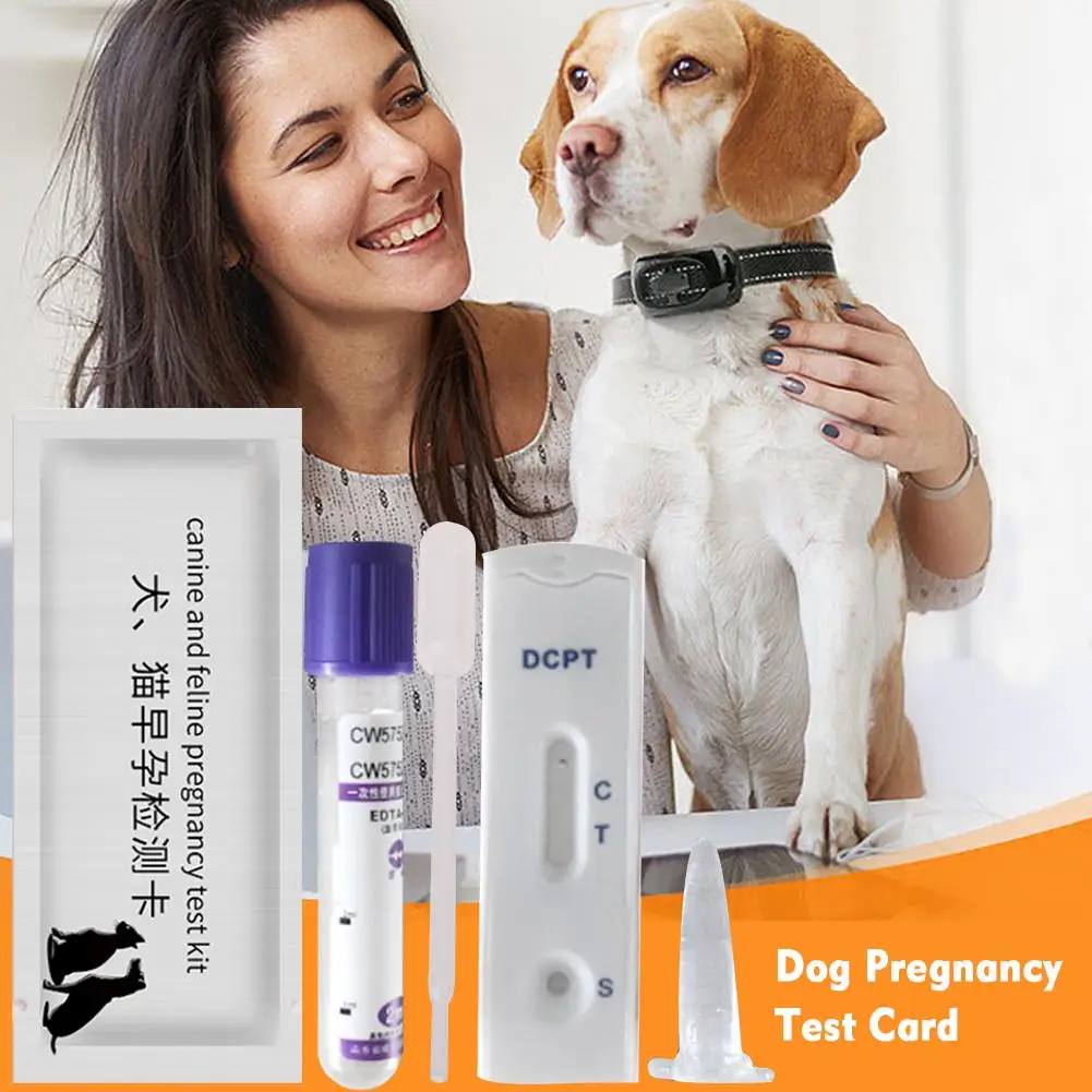 Home Dog Pregnancy Test Kit 15 Minutes Rapid Testing Serum or Venous Blood Test Suitable for All Large, Medium and Small Dogs