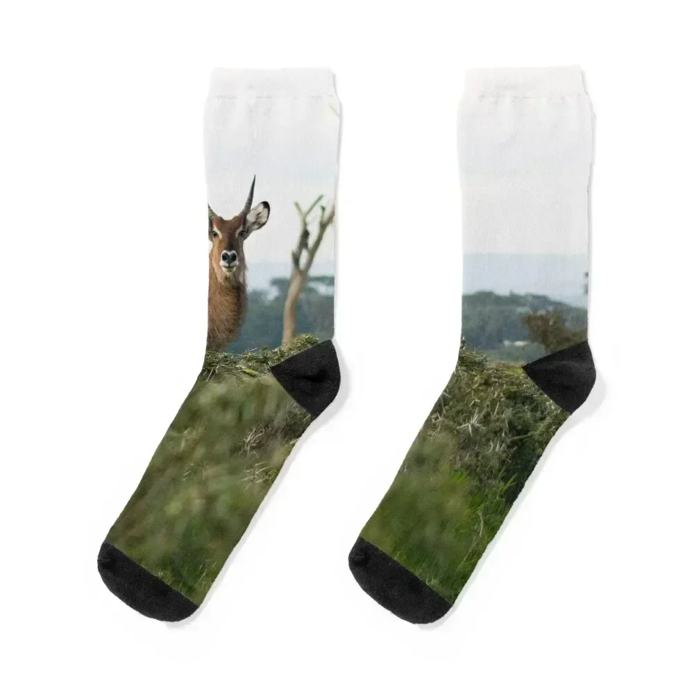 Buck Here Socks cool bright garter cotton Stockings Mens Socks Women's