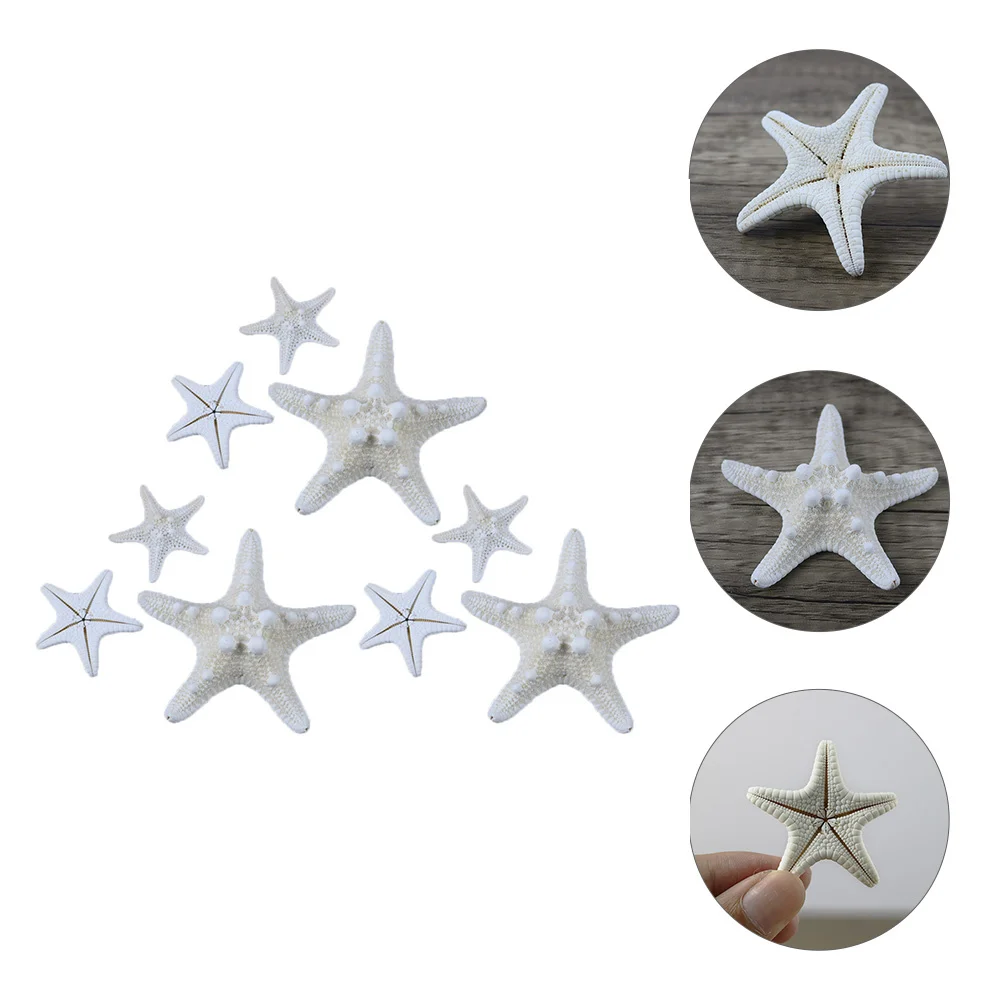 

9Pcs Natural Overlord Stars Coastal Decor Perfect for Home Party Table Garden Real Decorative Craft Ornaments Desktop Wall