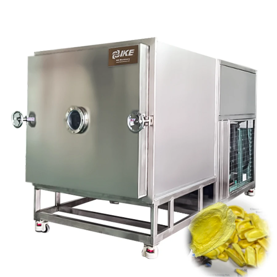 FVD-C30 30kg Capacity Professional Freeze Dryer Machine Commercial Fruit Food Vacuum Dryer