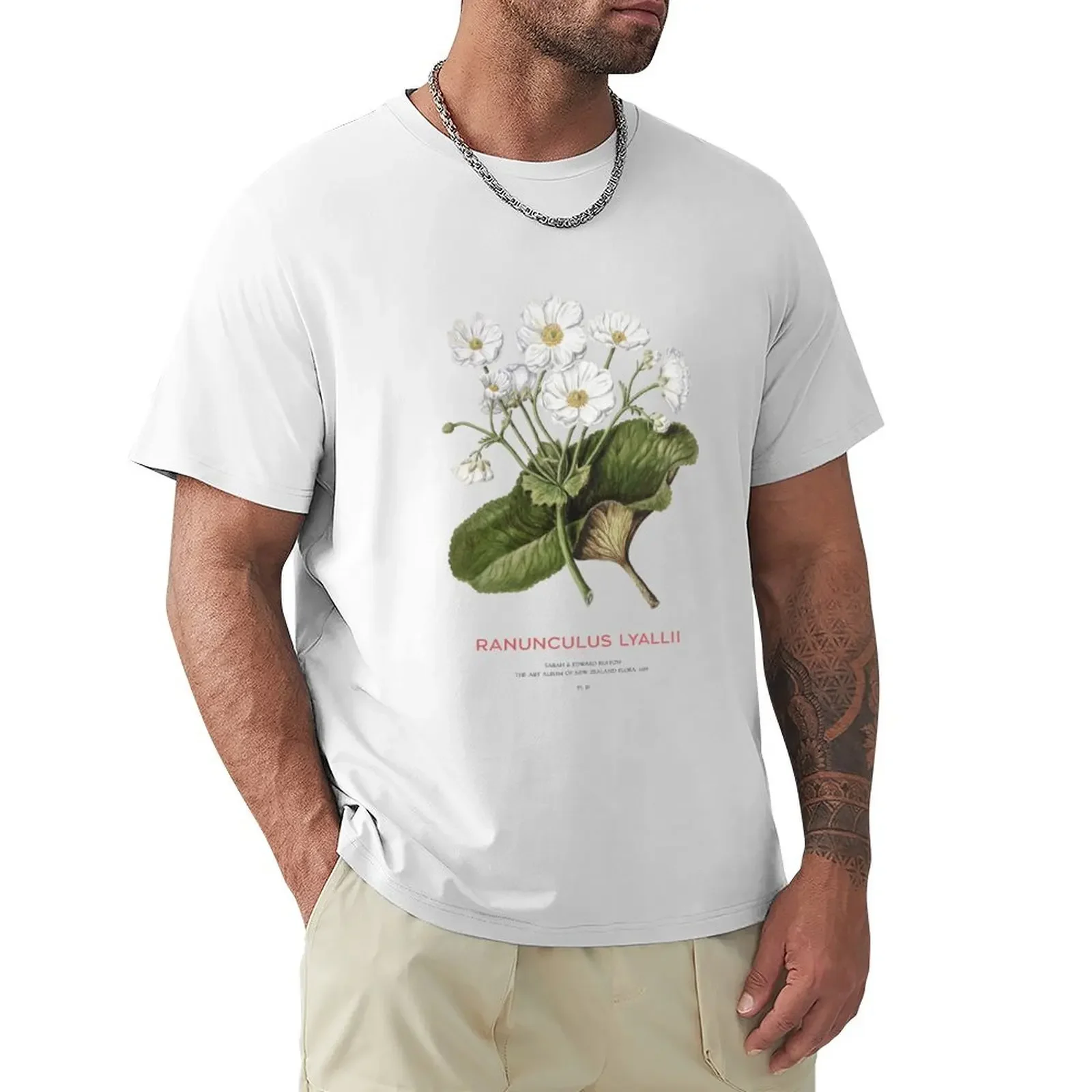 Mount Cook lily or Ranunculus lyallii T-Shirt vintage graphic tee graphics men graphic t shirts