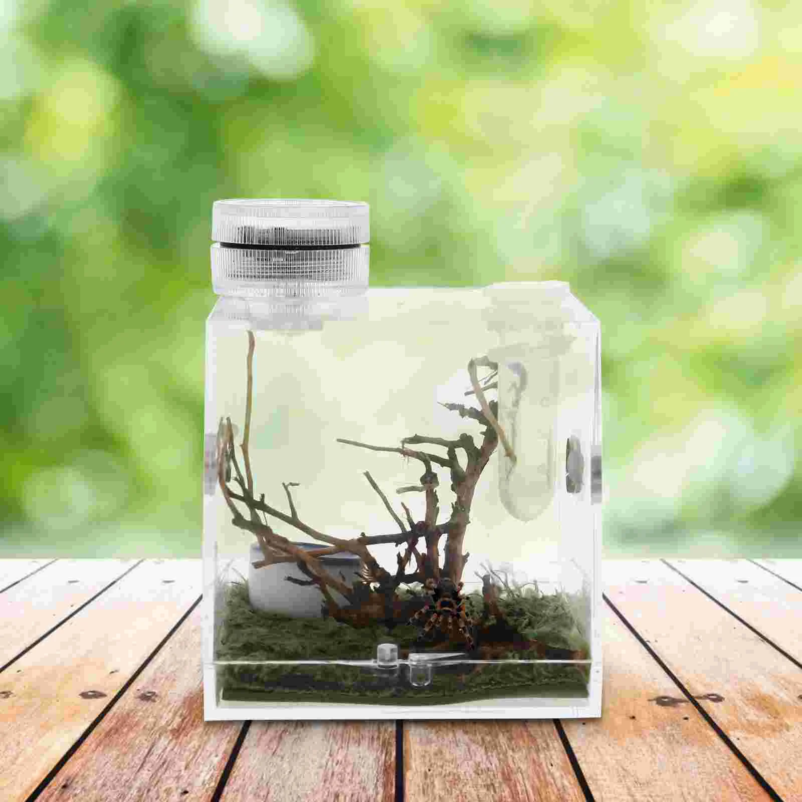 

Clear Reptile Terrarium Jumping Spider Breeding Box Reptisoil Living House