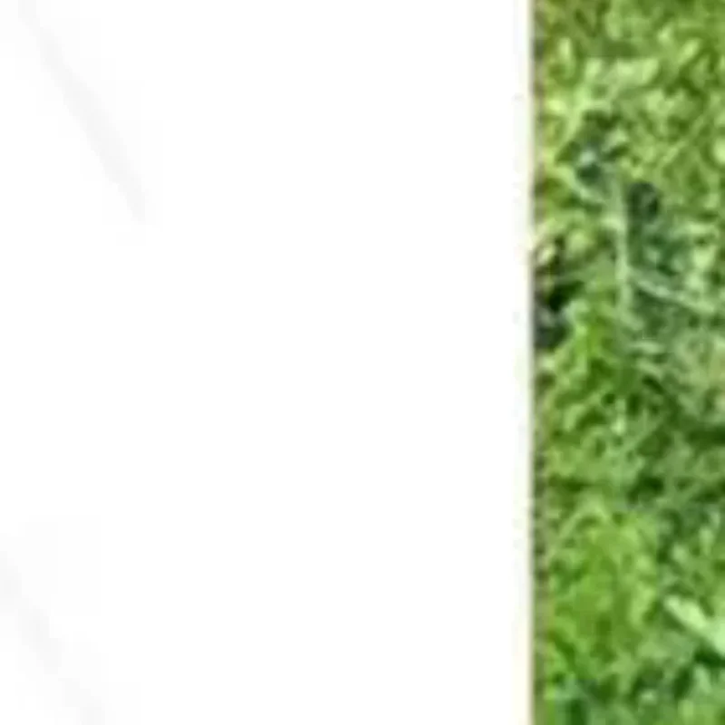 العالمي خط الانتهازي رئيس استبدال ل العشب الانتهازي آلة تقطيع الفراشي في الهواء الطلق حديقة المنزل أجزاء أداة السلطة #1