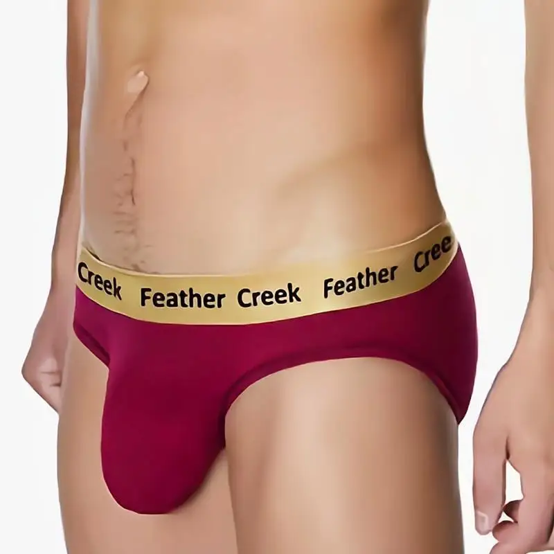 Big Pouch Bulge Underwear Men Briefs Large Balls U Convex Enhancing Seamless Panties Modal Sexy Male Lingerie Underpants