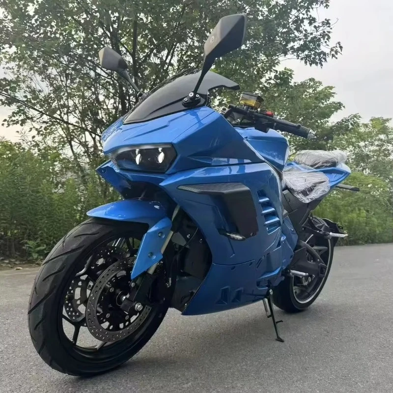 Customized High Power 72V 3000W-10000W Racing Electric Motorcycle Panigle for Adults
