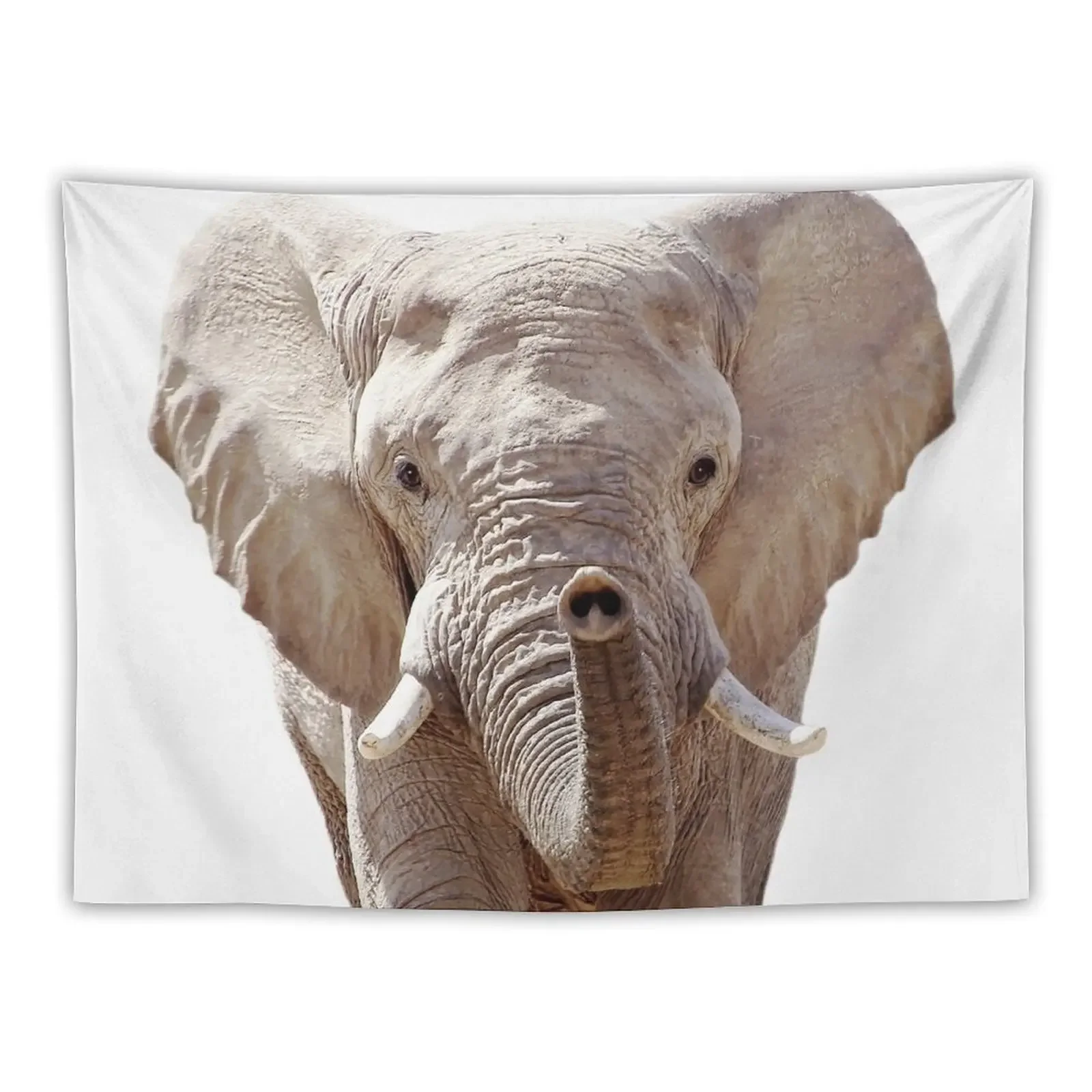 

Elephant Tapestry Decoration For Rooms Wall Decor Decorative Paintings Tapestry