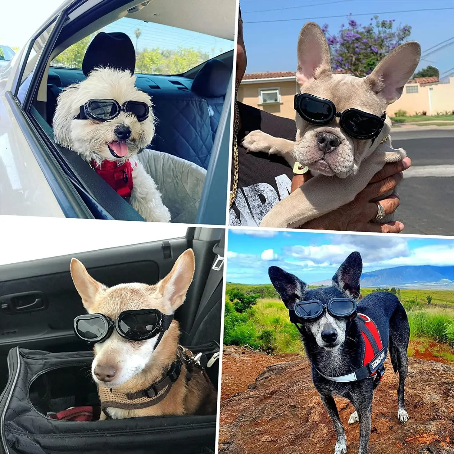 Dog Helmet & Sunglassesg 5