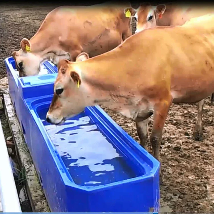 Horse Drinking Cow Cattle Dairy  Plastic Water Troughs For Automatic sheep Trough Animal Drinkers Automatic Drinker