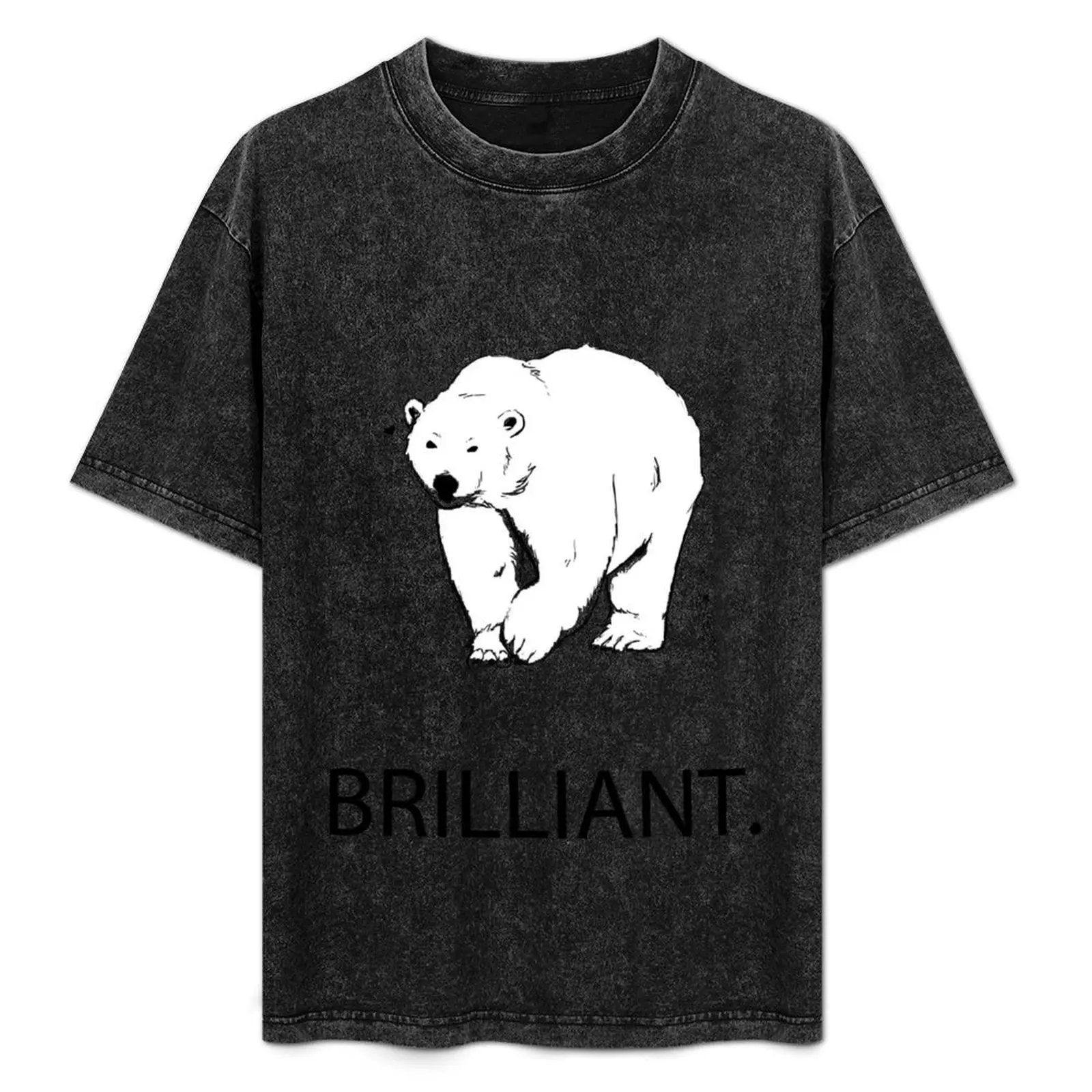 

Brilliant T-Shirt t shirt for man 100 percent cotton men t cotton 100% cotton pack man casual T-Shirt