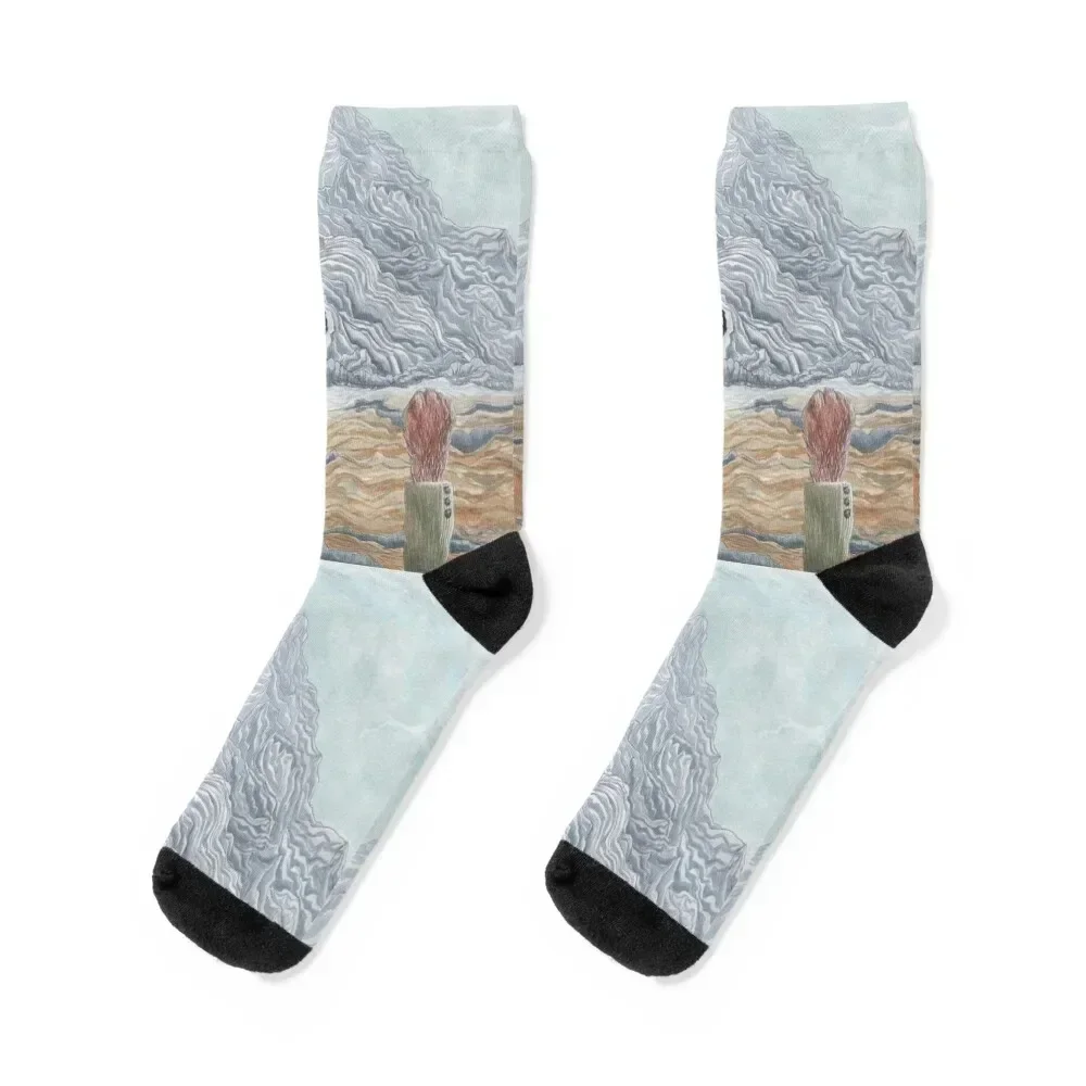 The Winter Wolf - Fantastic Mr Fox by Wes Anderson Socks New year's men cotton high quality Socks Girl Men's