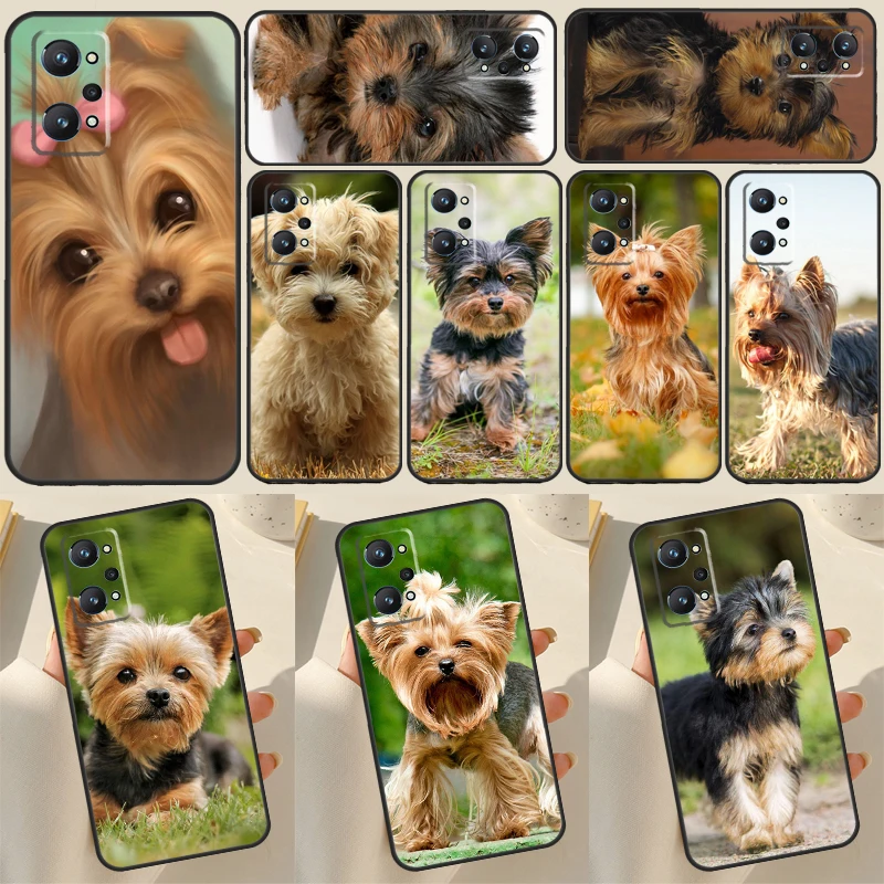 Yorkshire Terrier Dog Puppy For Realme C33 C55 C35 C31 C30 C21Y GT Neo 5 10 Pro Plus OnePlus 11 Nord CE 2 3 Lite Case