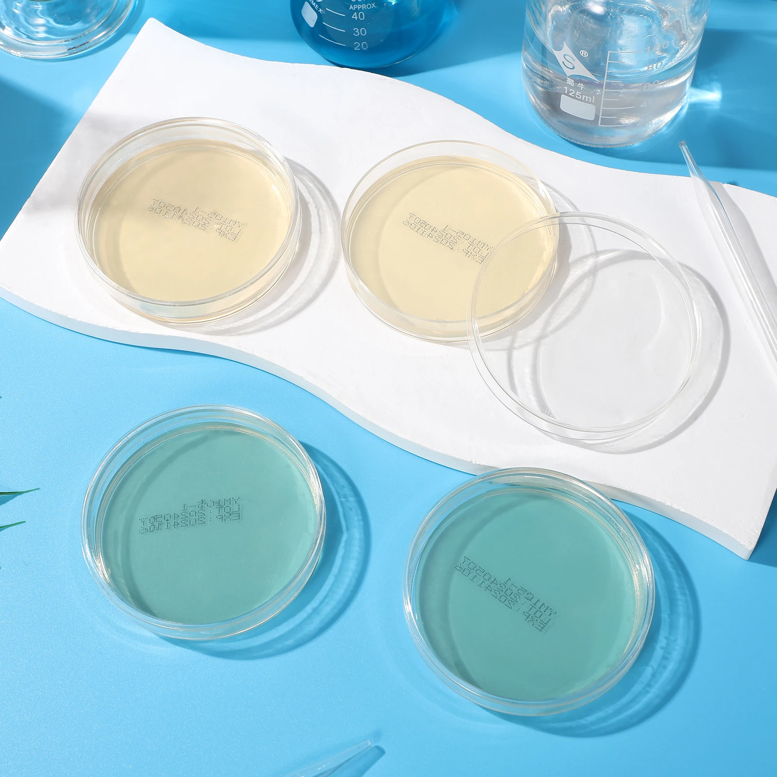 

10pcs Nutrient 7Cm Petri Dishes Pre-Poured For Science Experiments Stem Education Microbiology Research Prepoured