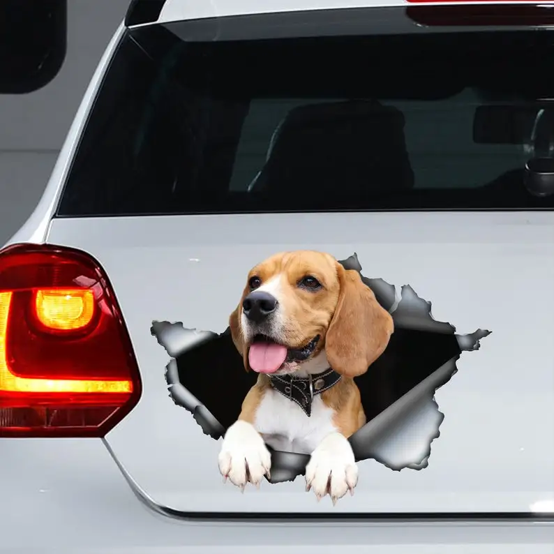 

Funny car decal, Beagle decal, Beagle magnet, Beagle sticker, car decoration, beagle print