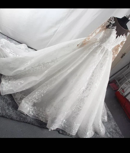 2024 New Lace Up Wedding Dress Sexy V-neck Long Sleeve Bridal Dress With A Large Tail Vestido De Noiva Plus Size Customized