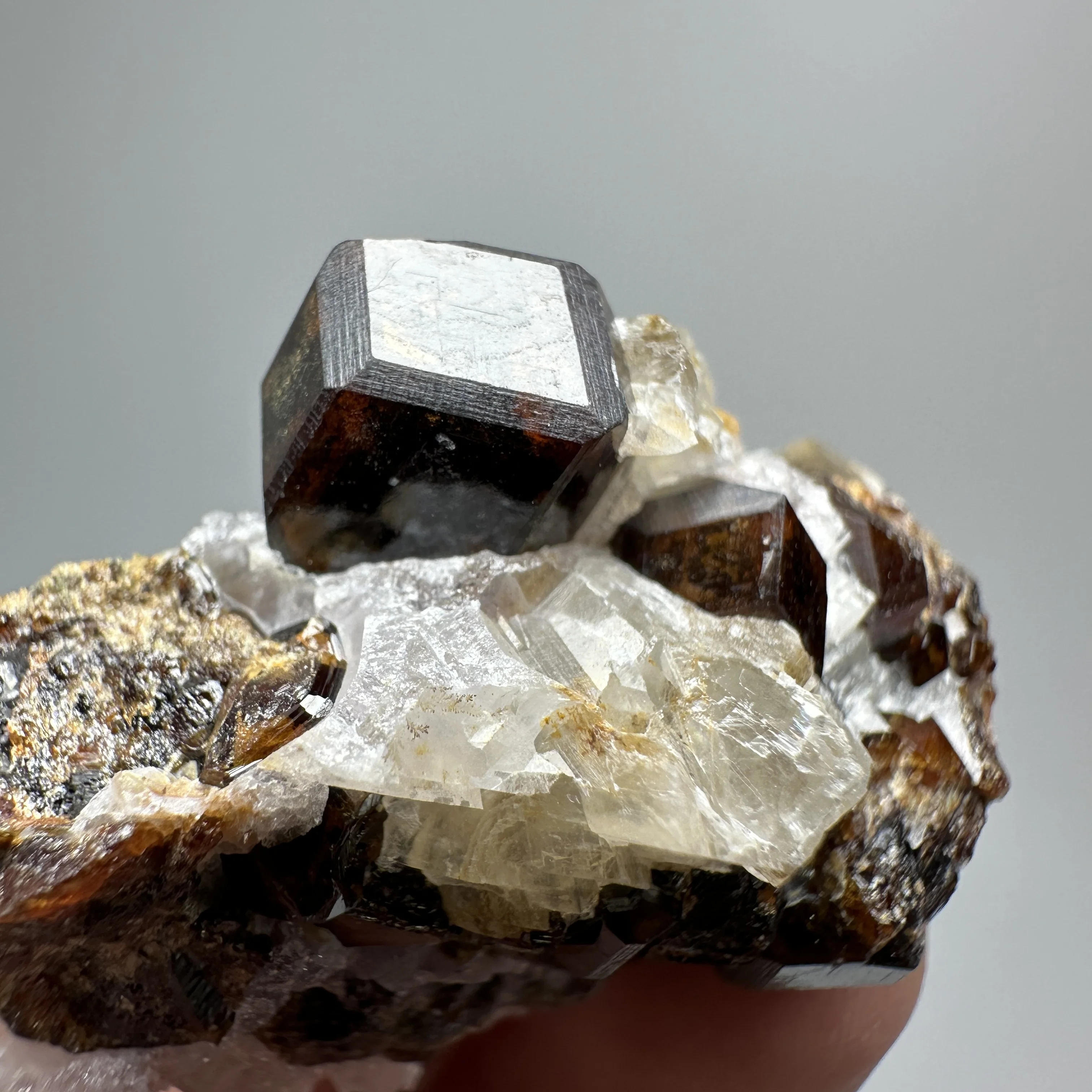 Natural Dark Brown Andradite Garnet Cluster Raw Crystal Mineral Specimen Calcite Matrix Healing Stone Home Decoration