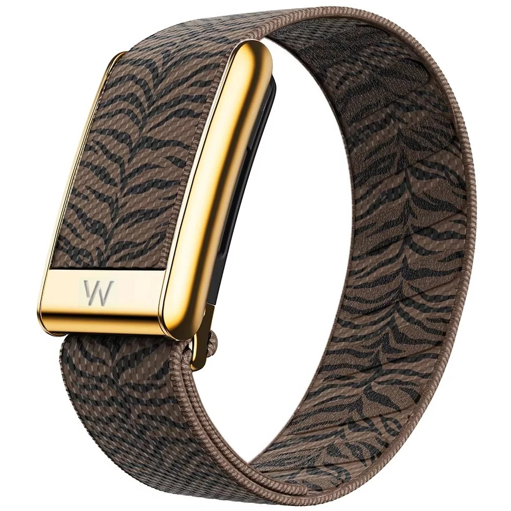 For Whoop 5.0/MG Tiger Stripe Print Woven Elastic Wristband With Gold Frame Multi Color Adjustable Replacement Strap