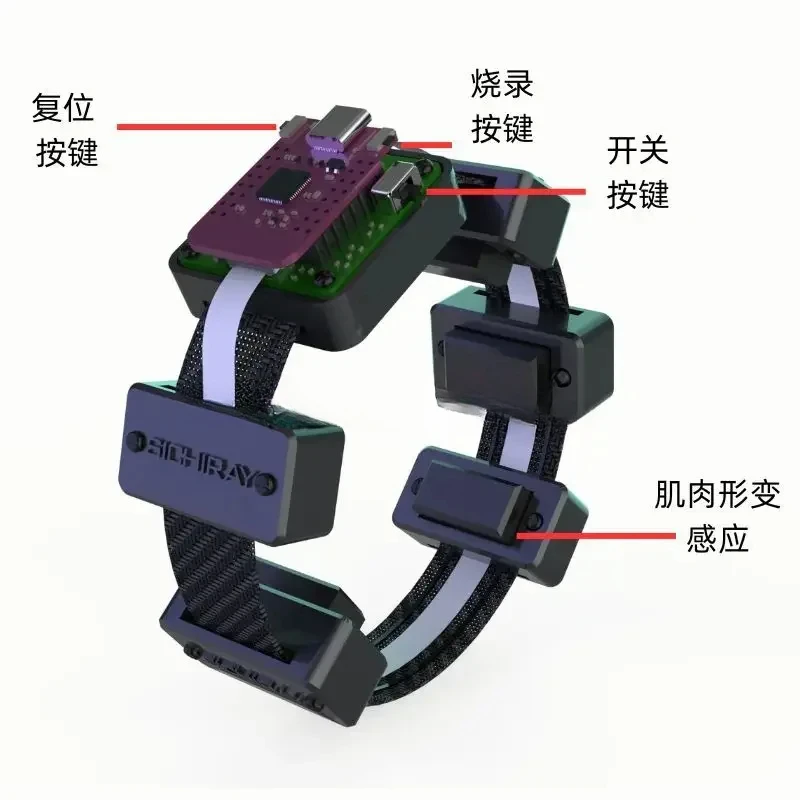 Muscle Electrical Sensor Muscle Deformation Simulation Signal EMG Bracelet Collection and Detection Module Wearable Armband