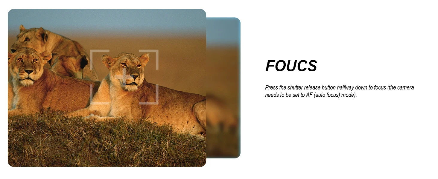 AODELAN Drahtlose Bluetooth-Fernbedienung für Fujifilm Fuji X-M5 XT50 X100VI X-S20 X-T5 X-T4 X-T3 X-T30II X-T30 X-S10 X-H2S X-H2 – Detail 5