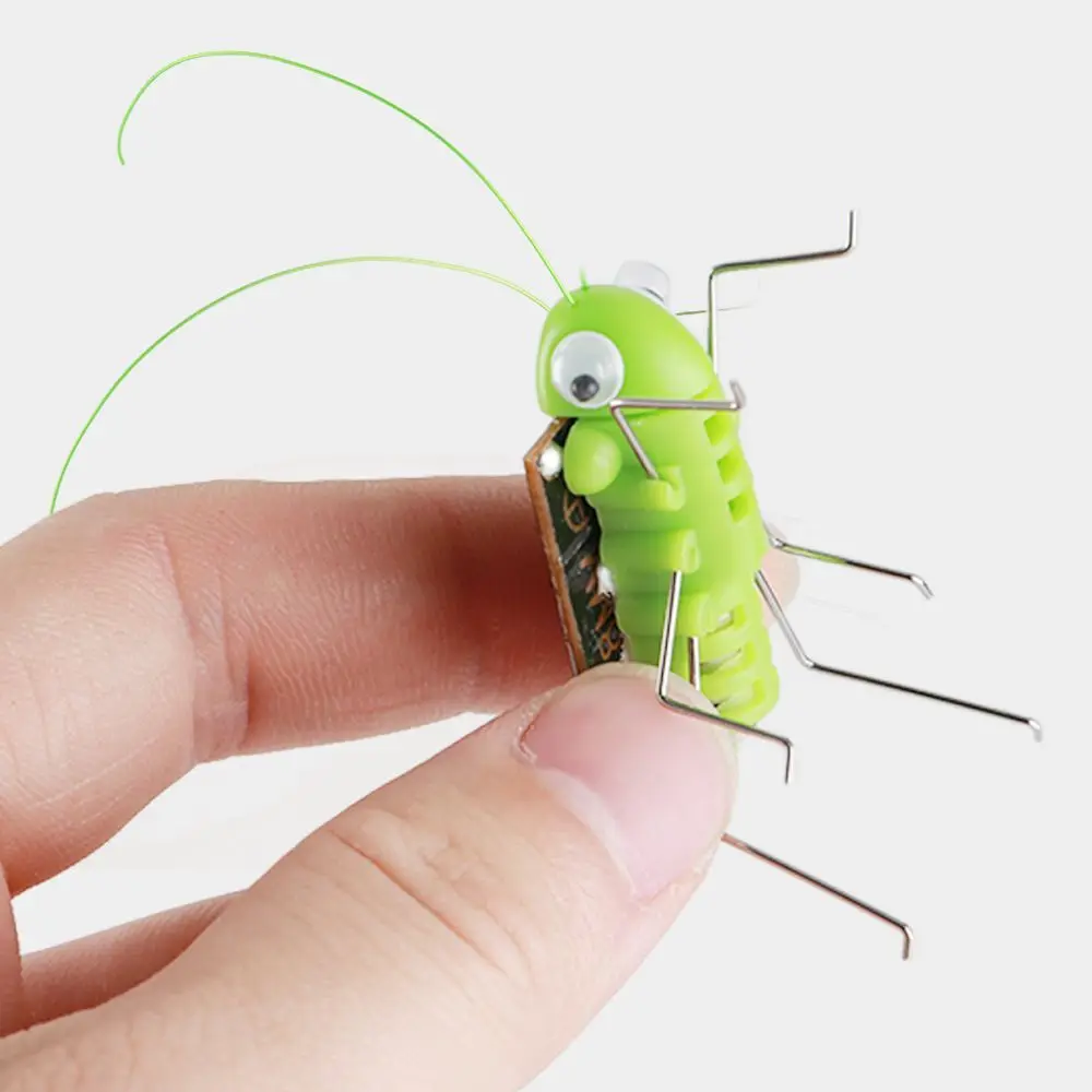 Insetto energetico magico Cricket Bug solare Apprendimento per bambini Regalo Robot Insetto