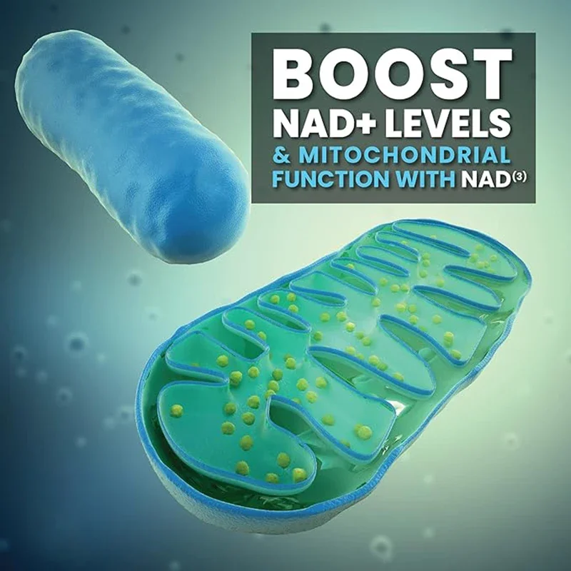 60/120 Capsules Liposomal Pure NAD + Supplement 1000mg, Highest NAD Pontcy High Absorption Energy & DNA Repair Anti-Aging