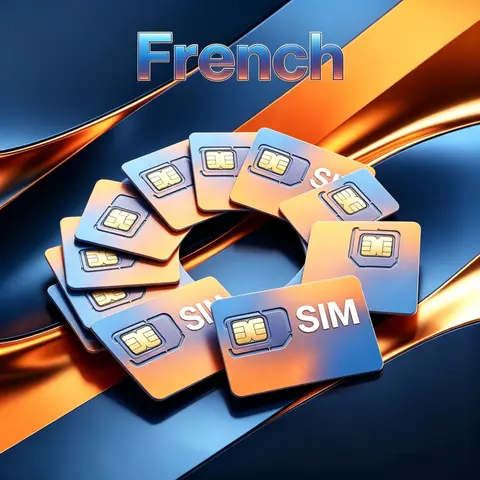 France 4G IoT SIM Card, 1GB/Month 30-Day Valid Data for Phone Camera Tablet WiFi
