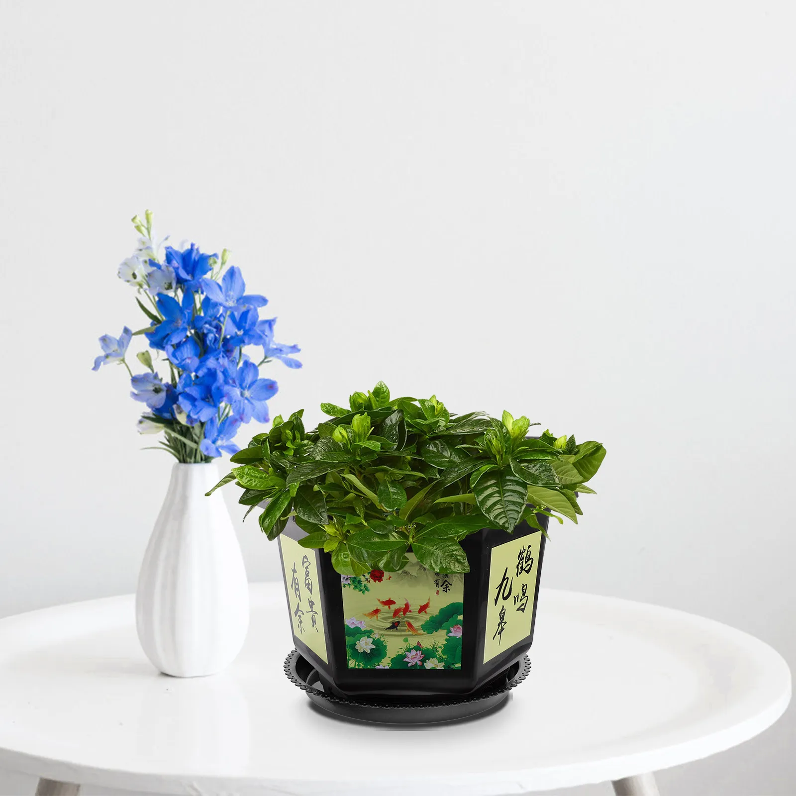 Hexagonal Plastic Flower Pot with Bonsai Tray Indoor Planter for Living Room Bedroom Kitchen Decor