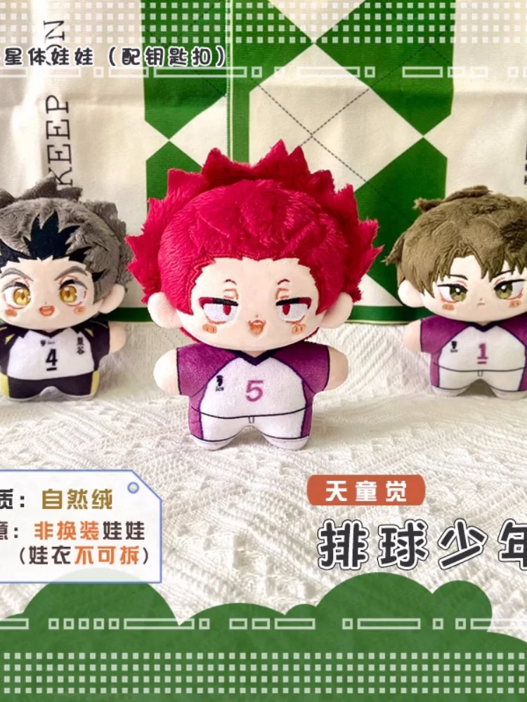 Anime Sakusa Kiyoomi Tendou Satori Ushijima Wakatoshi 12cm Pendant Keychain Toys Stuffed Plush Soft Doll